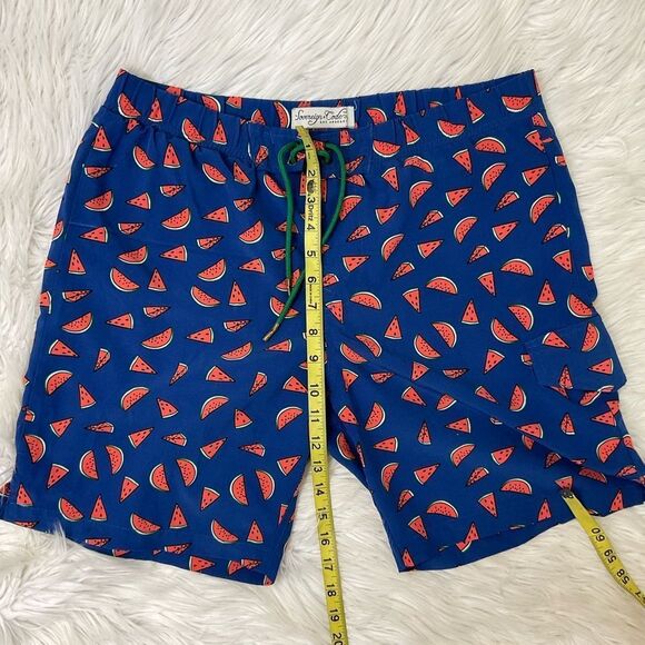 Sovereign Code Men’s Tropical Watermelon Print Blue Red Swim Trunks Size Medium - Picture 11 of 16